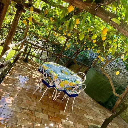 Apartamento Il Limoneto Di Teresa Amalfi Coast Maiori Exterior foto