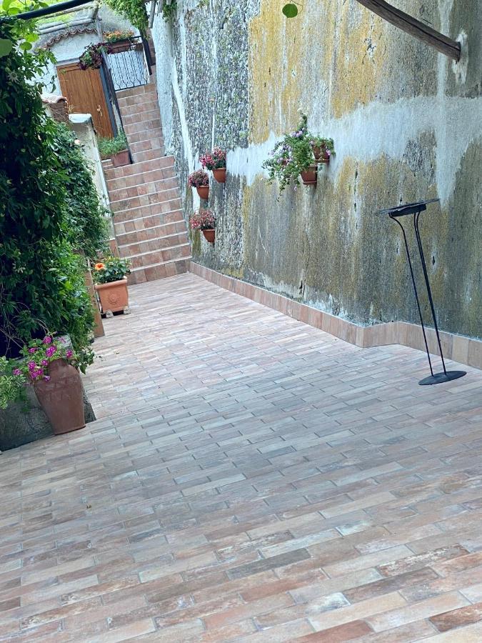 Apartment Il Limoneto Di Teresa Amalfi Coast *