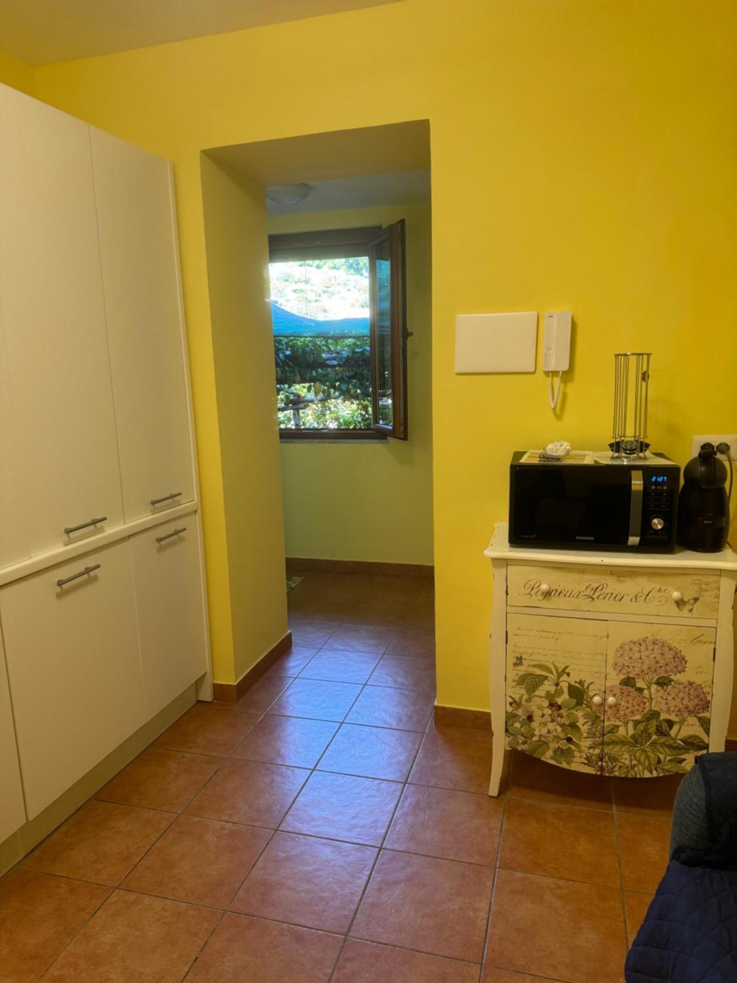 Apartment Il Limoneto Di Teresa Amalfi Coast Maiori