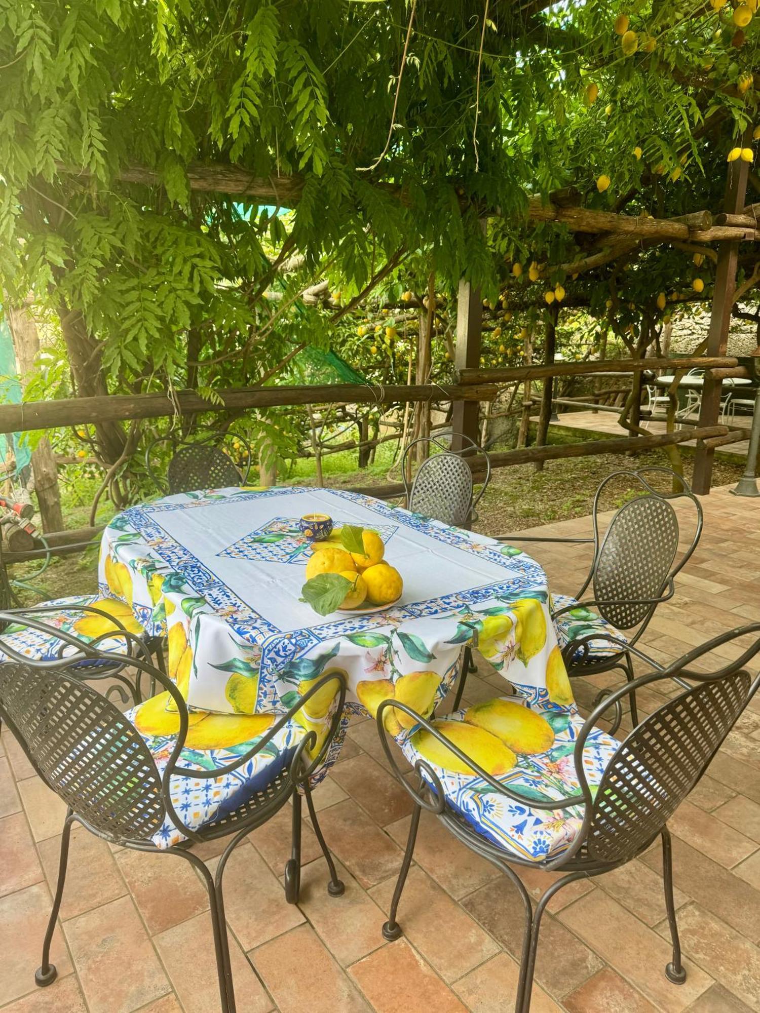 Il Limoneto Di Teresa Amalfi Coast