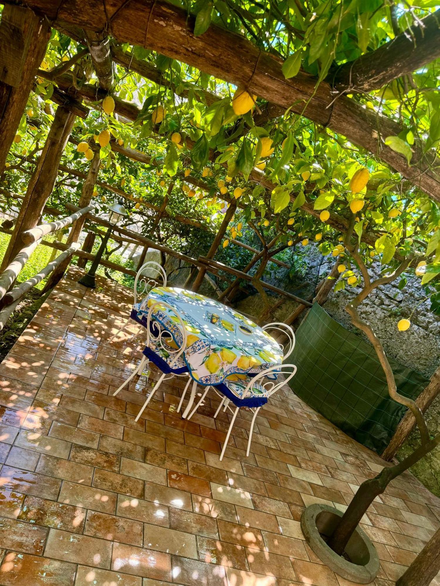 Il Limoneto Di Teresa Amalfi Coast *