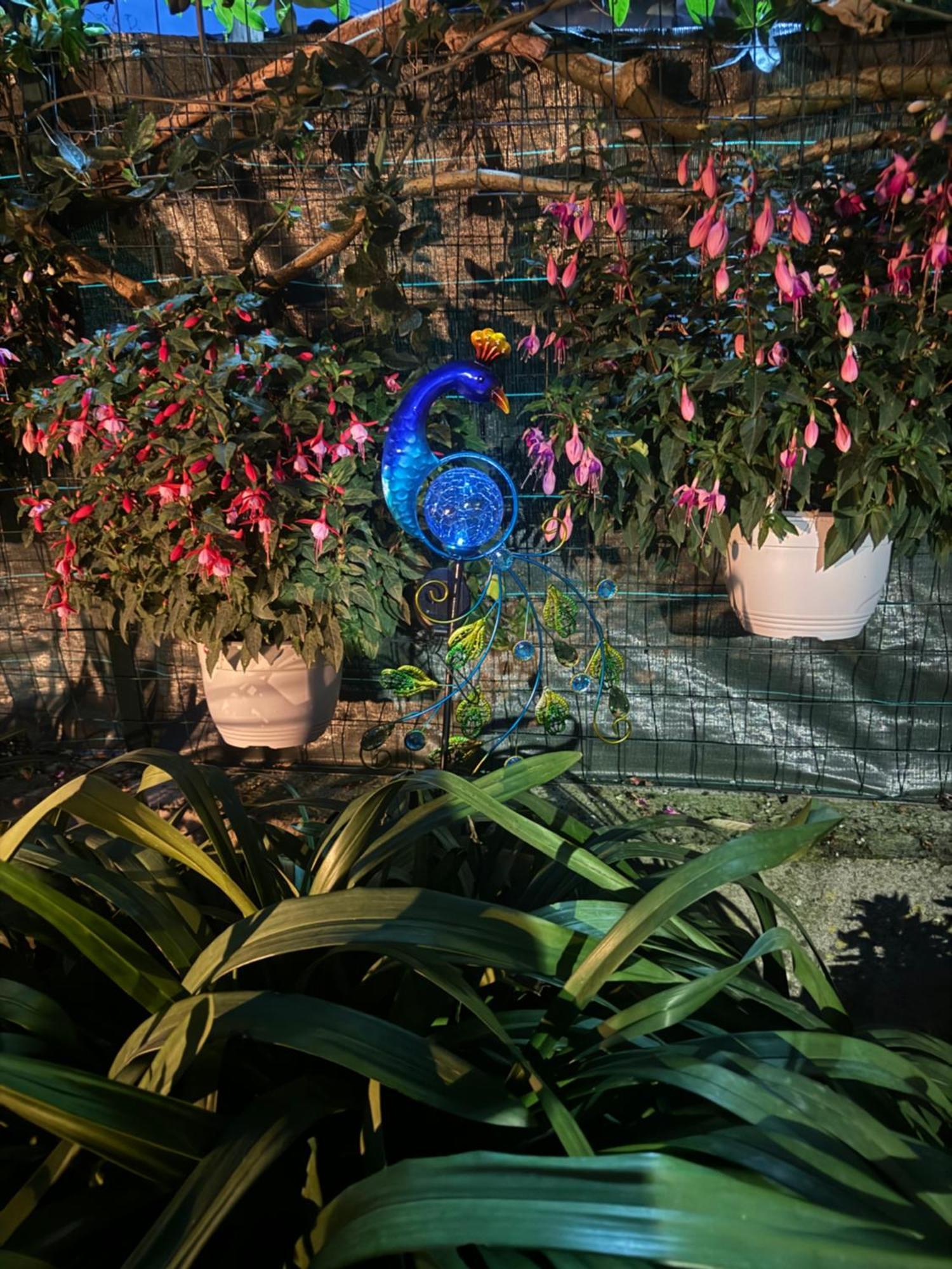 Il Limoneto Di Teresa Amalfi Coast Apartment