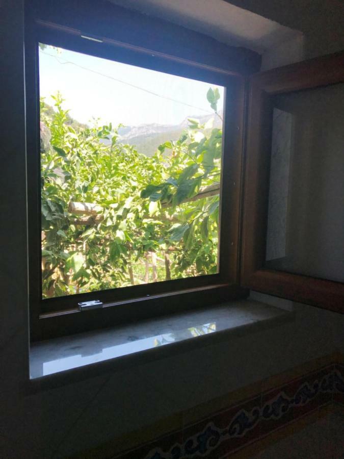 Apartment Il Limoneto Di Teresa Amalfi Coast *