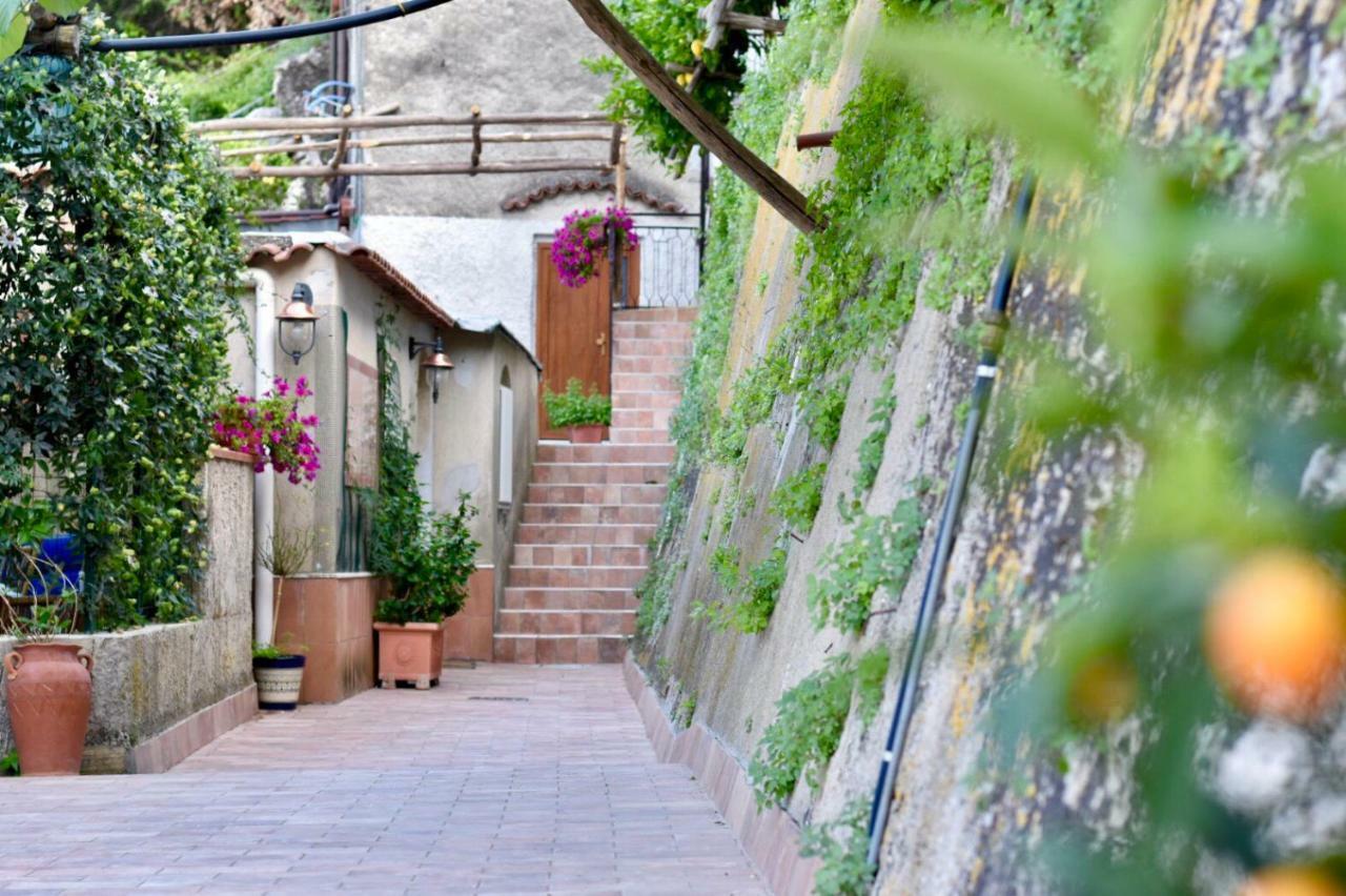Il Limoneto Di Teresa Amalfi Coast Maiori